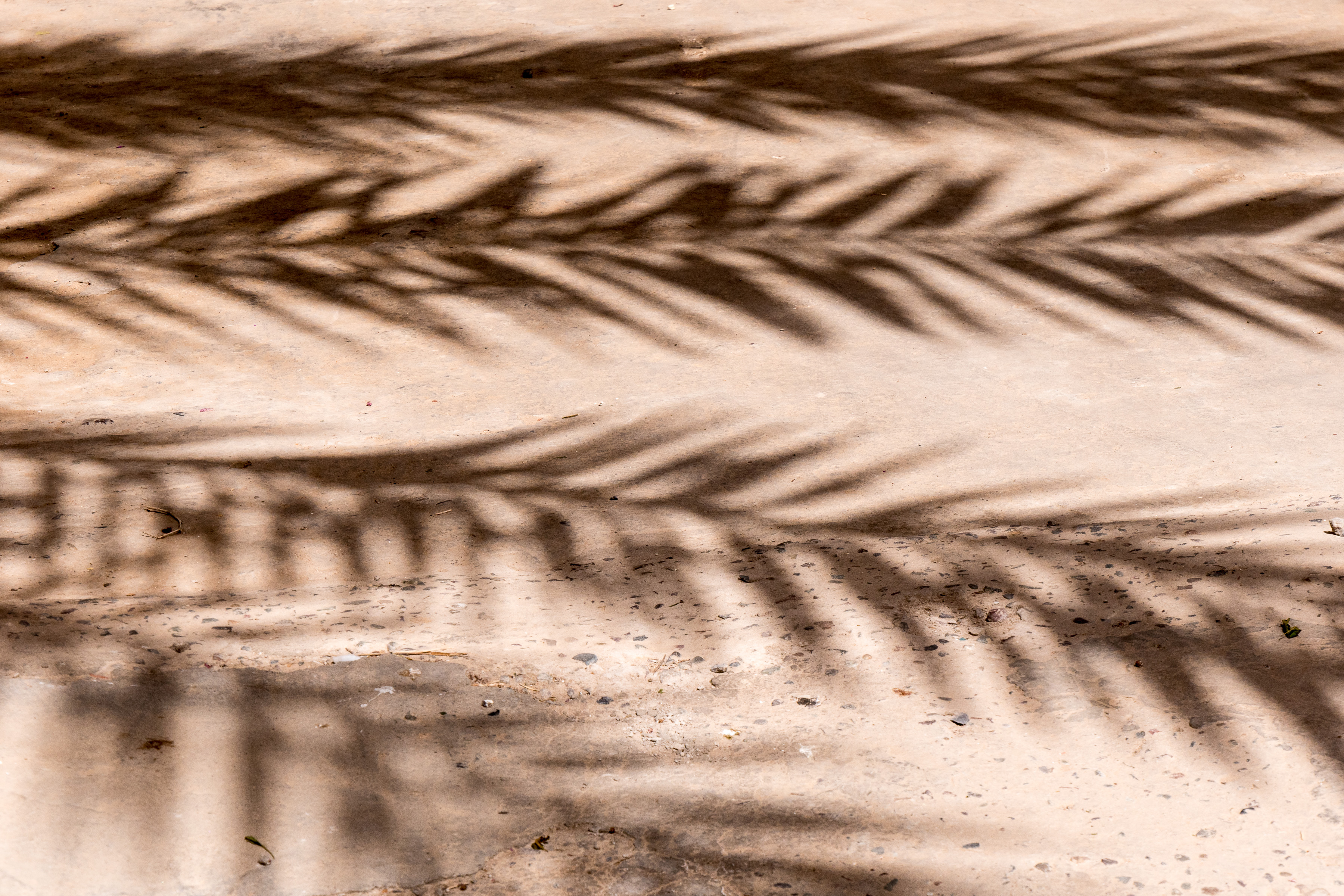 Marokko, Skoura, Kasbah Amridil 2019